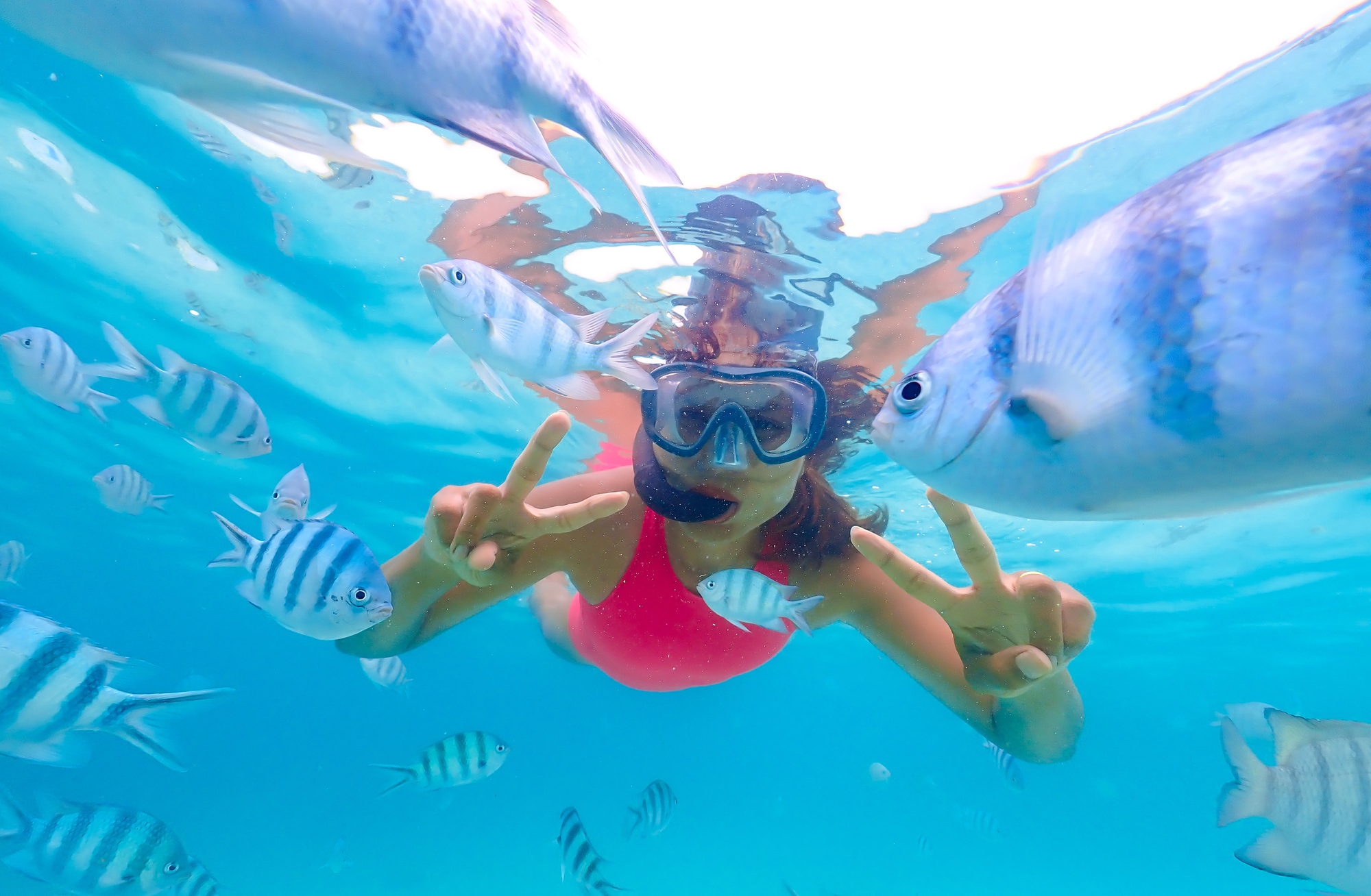 The Top 10 Tools to Immerse Yourself in Japanese & Get Fluent Anywhere, Anytime